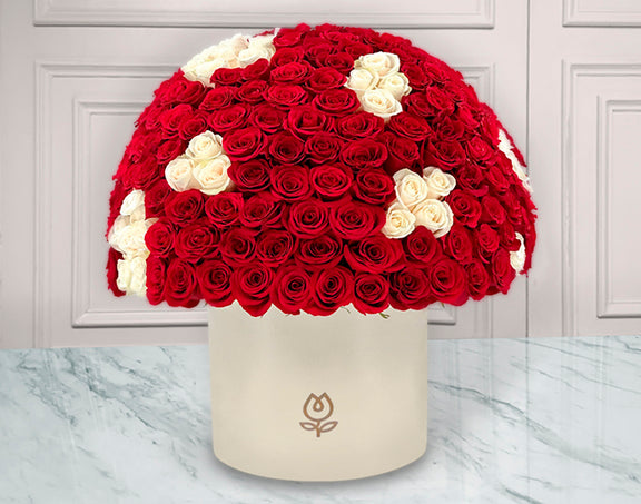 300 Rosas Rojas y Blancas en caja | JULIA